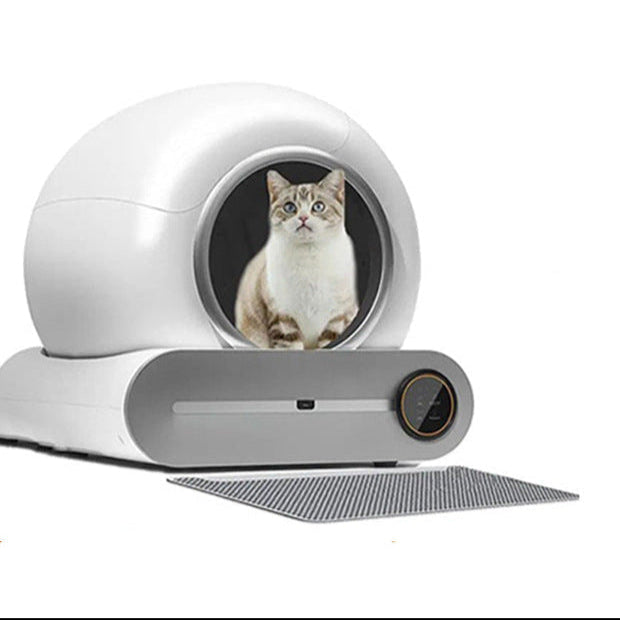 Self-cleaning cat litter box with a cat inside on a white background